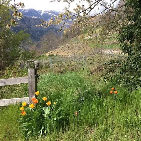 Prázdninový dům Malu In By Interhome *