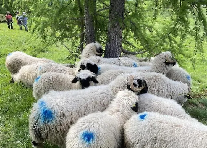 Malu In By Interhome *